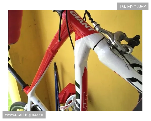 武汉极限运动队与上海极限运动队赛后复盘分析意识碰撞与战术对决